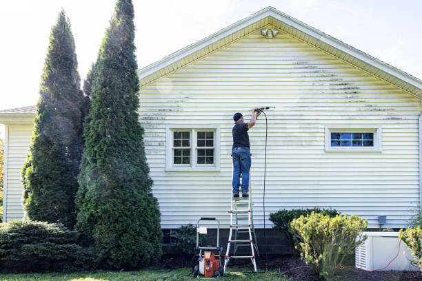 Best Exterior Home Cleaning  in Canton, PA