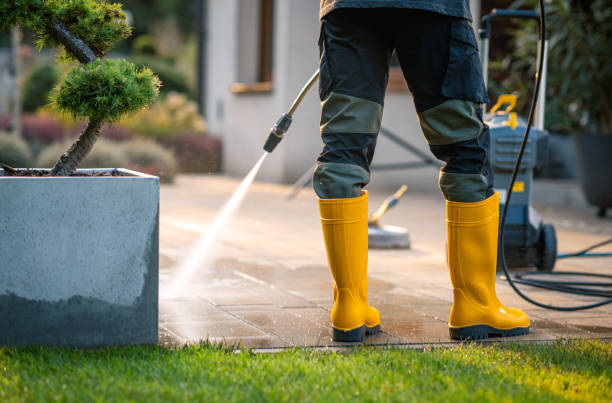 Roof Power Washing Services in Canton, PA